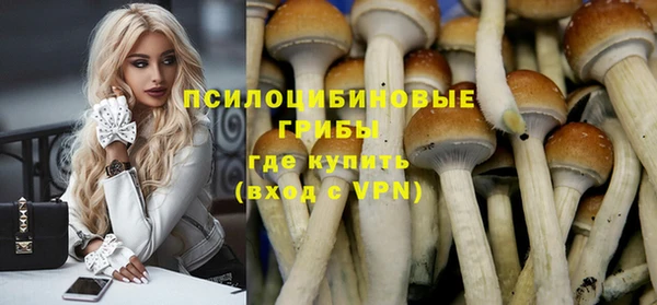 mix Абаза